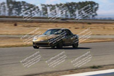 media/Nov-16-2024-CalClub SCCA (Sat) [[641f3b2761]]/Group 6/Grid and Front Straight/